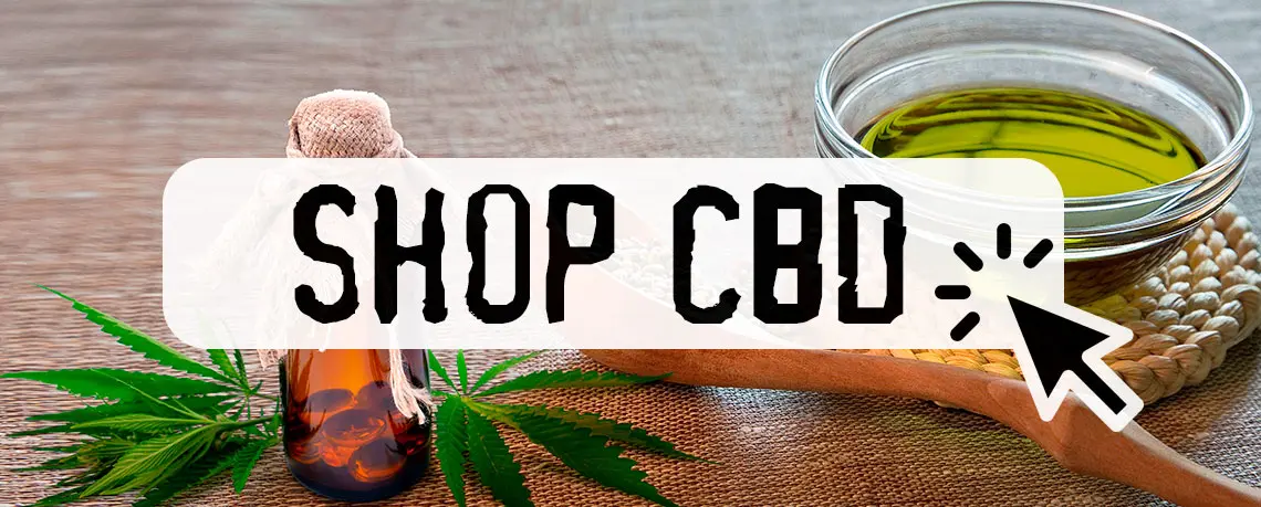 Read more about the article How To Take CBD Oil, Top Ways To Get It Into Your System