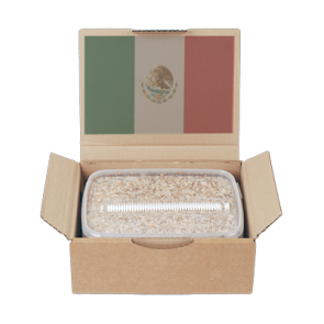 MAGIC MUSHROOM GROW KIT MEXICAN BY MONDO®